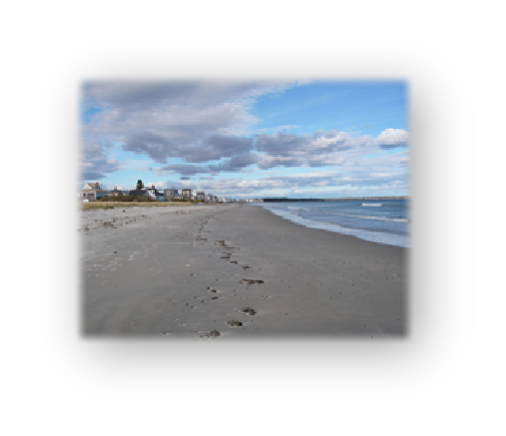 Footprints in the sand of Drakes Island beach